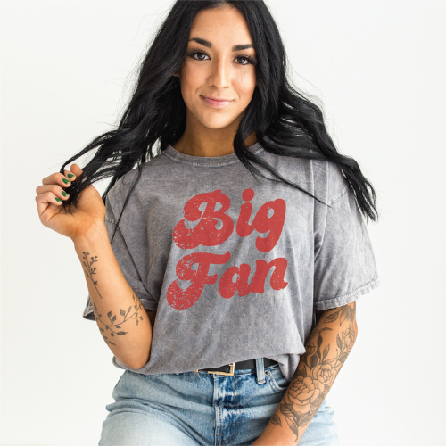 Big Fan Mineral Wash Tee - Light Gray