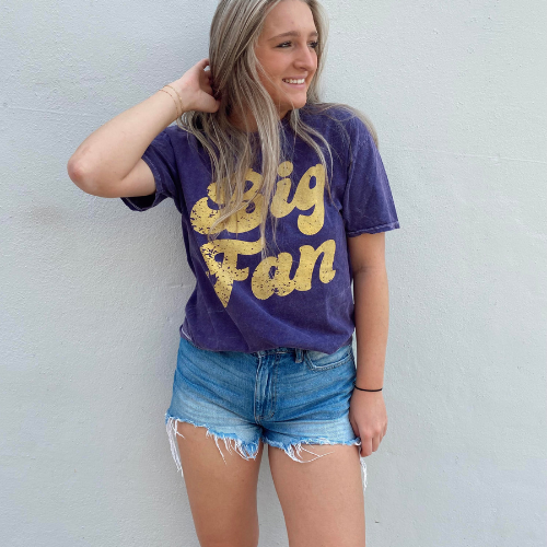 Big Fan Mineral Wash Tee - Purple